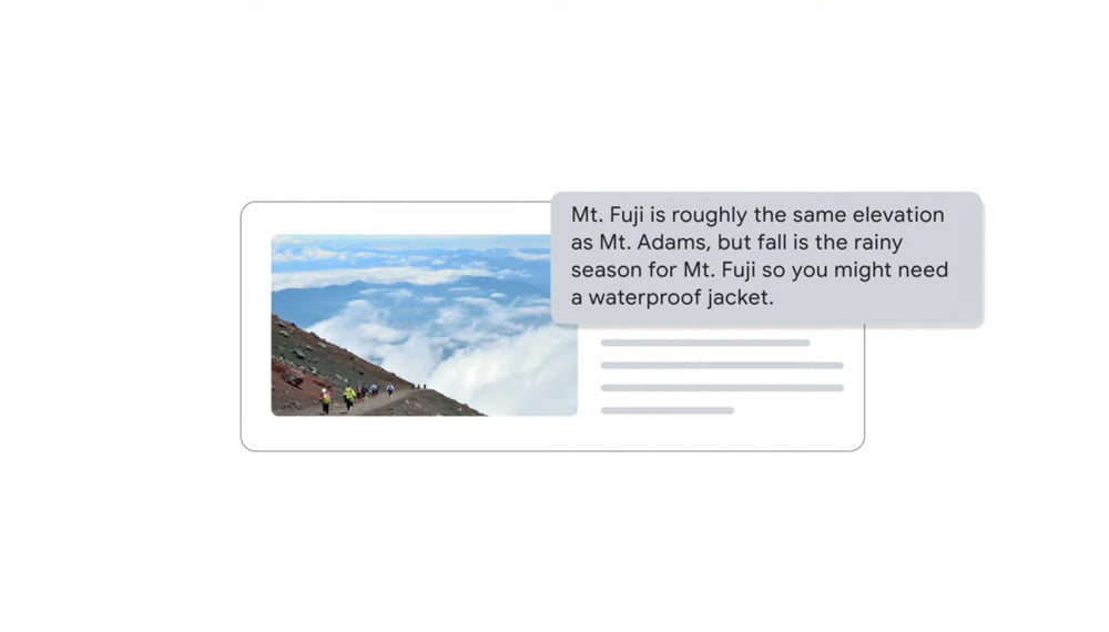 Bild und Textantwort von MUM