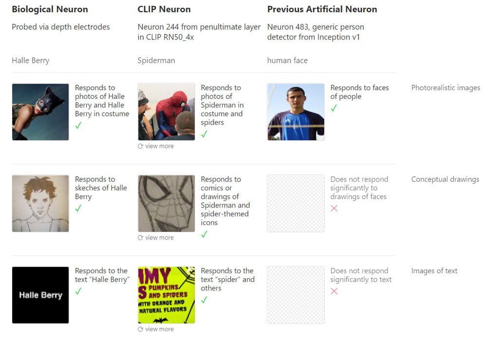 Überblick über das Halle-Berry-Neuron und die multimodalen Neuronen in CLIP