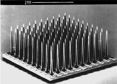 Ein Utah Array in der Nahaufnahme