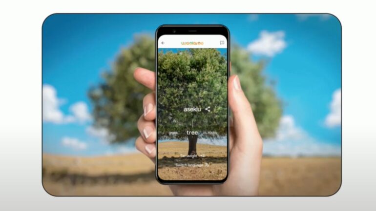 Google Woolaroo web app recognizes a tree and translates the word to various languages.