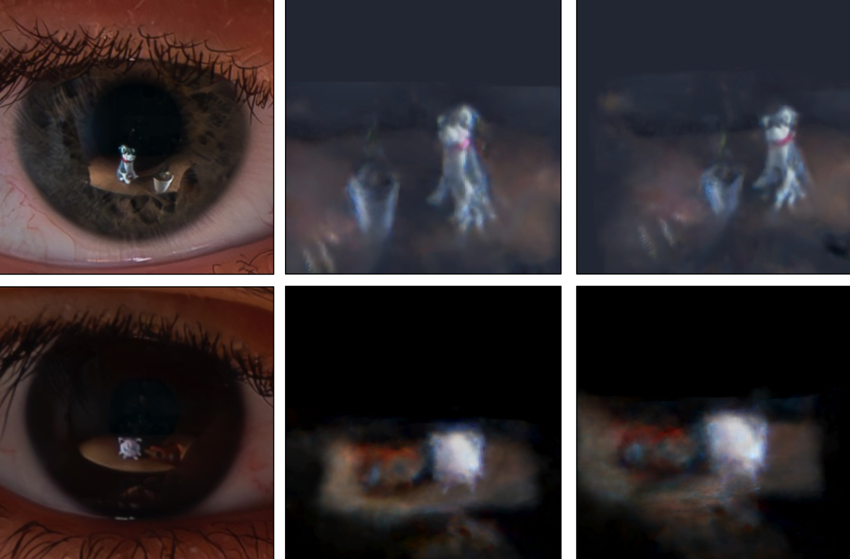 Links sieht man eine Iris mit Spiegelung, rechts davon eine 3D-Rekonstruktion dieser Spiegelung.